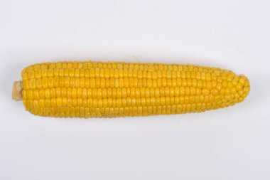 A single yellow corn cob is centered horizontally against a plain white studio background