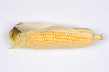 Sarı çekirdekleri ortaya çıkarmak için kabuğu soyulmuş tek bir tatlı mısır kabuğu temiz beyaz arka planda yatay olarak merkezlenir.