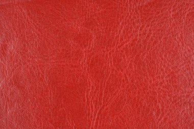 Canlı, koyu kırmızı bir sahtenin tam kare, yakın plan arkaplanı ya da görünür kırışıklıkları ve ince bir dokusu olan gerçek deri malzemesi.