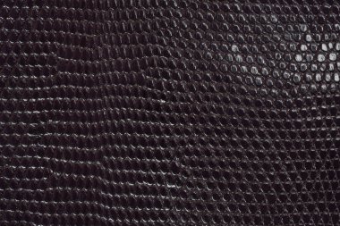 Detaylı, parlak bir görüntü, gerçek bir kertenkele deri dokusunun küçük, tekrarlayan, koyu siyah veya koyu mor ölçekli desenini yakalar.
