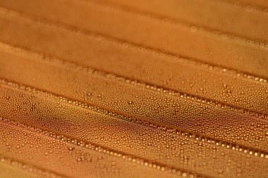 Sayısız küçük altın su damlacıkları metalik bir yüzeyi kaplıyor ve güzel bir soyut ışık ve nem deseni oluşturuyor.