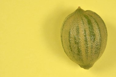 Yeşil ve sarı derili tek bir çizgili pembe kaplan limonu geniş kopya alanı olan parlak sarı bir zemin üzerine kuruludur.