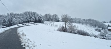Gornje 'de sakin bir kış manzarası boyunca uzanan asfalt bir yol, karla kaplı tarlalar ve gri bir gökyüzünün altındaki ağaçların üzerindeki buzlarla kaplı.