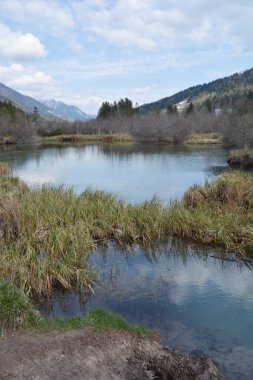 Prirodni rezervat Zelenci 'nin sakin suları Sava Dolinke' nin yeşil çimen ve tepelerle çevrili kaynağını gösteriyor.