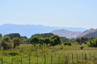 Krk Adası 'ndaki Baska Vadisi' nde Prvic Adası ve Velebit dağ sıraları açık bir gökyüzünün altında görünen yeşil çitleri çevreleyen ahşap bir çit vardır.