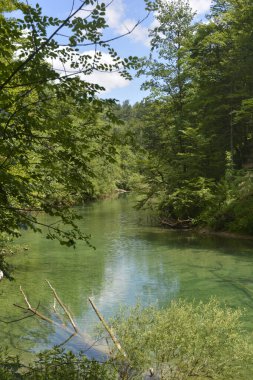 Gorski Kotar 'daki Kamacnik nehrinin yeşil ağaçlarla çevrili güzel bir manzarası ve berrak sulara yansıyan mavi gökyüzü.