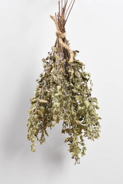 Bir grup kurutulmuş kekik sicimle bağlanmış, düz, nötr gri bir arka plana dikey olarak asılı duruyor.
