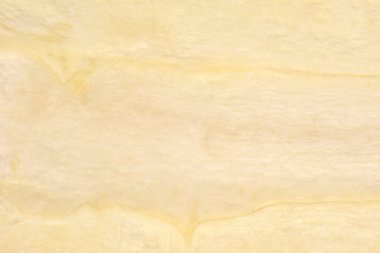 Dilimlenmiş yaban havucu kökünün narin iç liflerini ve kremsi dokusunu gösteren yakın plan.