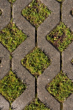 Güneşli bir günde elmas şeklinde delikler açan yeşil çimenli gri beton şebeke kaldırımlarının yukarıdan görünüşü