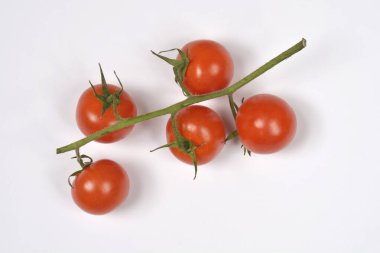 Taze yeşil bir sarmaşığa bağlı taze kırmızı domates kümesi, beyaz bir arka planda izole edilmiş.