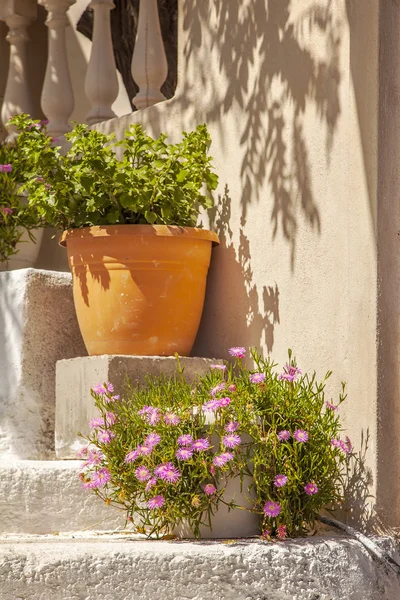 Sunlit porch steps