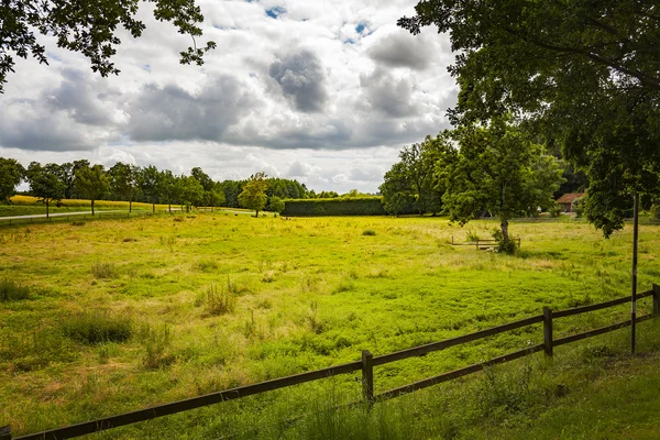 Countryside pasture field — Stock Photo, Image