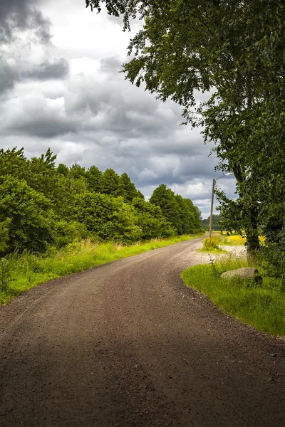 Ländlicher Feldweg Schweden — Stockfoto