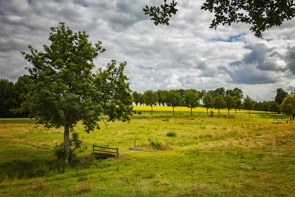 Přistane letní pastviny — Stock fotografie
