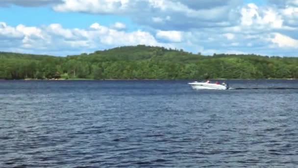 Schnellboot auf dem See — Stockvideo