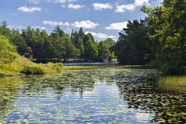 Jezero s Lily podložky — Stock fotografie