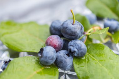 Olgun yaban mersini ve yapraklar