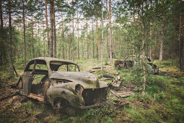 숲 차 묘지 — 스톡 사진