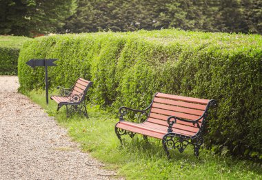 Ayak yolu tarafından Park banklar