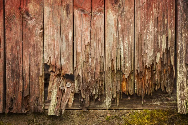 Viejos tablones de puerta gastados — Foto de Stock