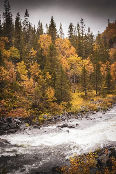 Nordiskt Höstlandskap Med Färgglada Skogar Och Rörliga Älvar Stockbild