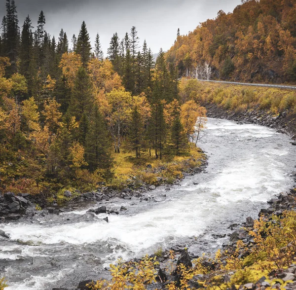 Norweigi Őszi Táj Színes Erdőkkel Mozgó Folyóval Jogdíjmentes Stock Képek