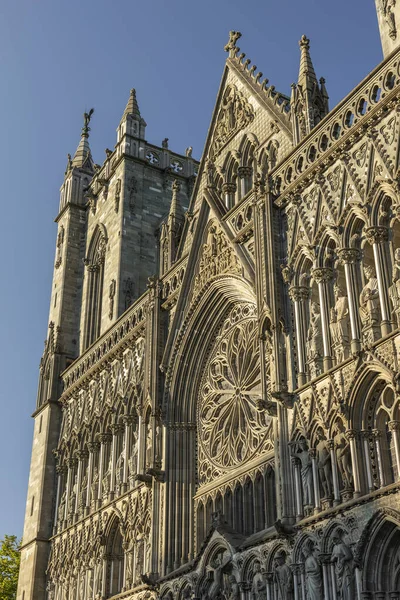 Detaljerad Bild Statyer Och Sniderier Nidaros Katedral Trondheim Stockbild