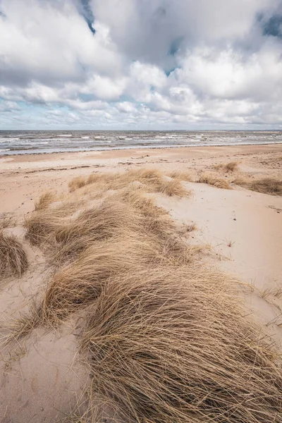 Sveç Sahilinde Kum Tepecikleri Rüzgarlı Bir Günde — Stok fotoğraf