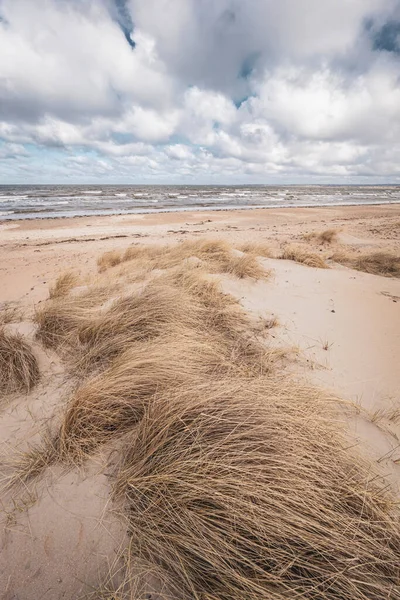 Gräsiga Sanddyner Vid Svenska Stranden Blåsig Dag — Stockfoto