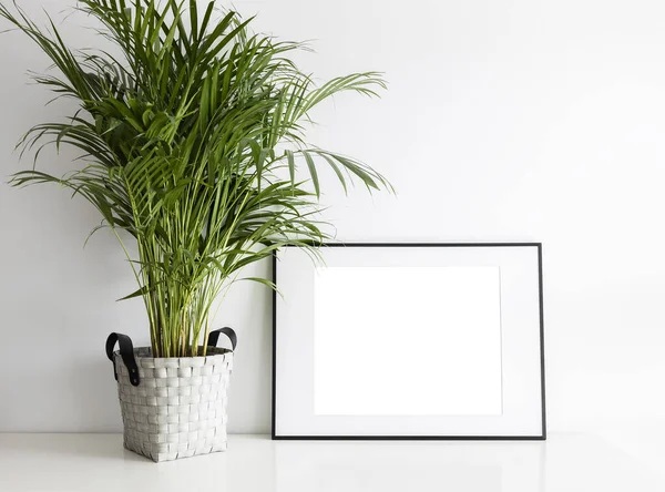 緑の植物と長方形のモックアップフレーム ロイヤリティフリーのストック写真