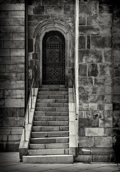 Catedral puerta y escalones — Foto de Stock