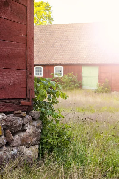 Verlaten boerderij — Stockfoto