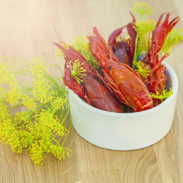 Sunny crayfish — Stock Photo, Image