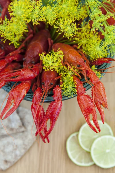 Crayfish and sprigs of dill — Stock Photo, Image