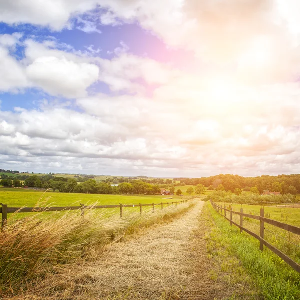 Oude platteland weg — Stockfoto