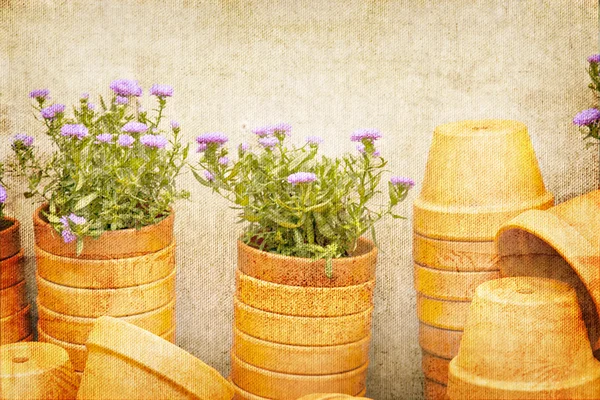 Pots de plantes empilés — Photo