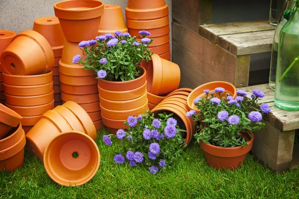 Vasi di fiori in terracotta — Foto Stock