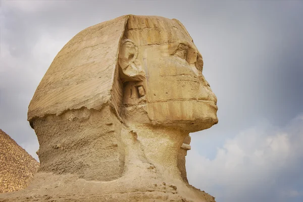 The Sphinx at Giza — Stock Photo, Image