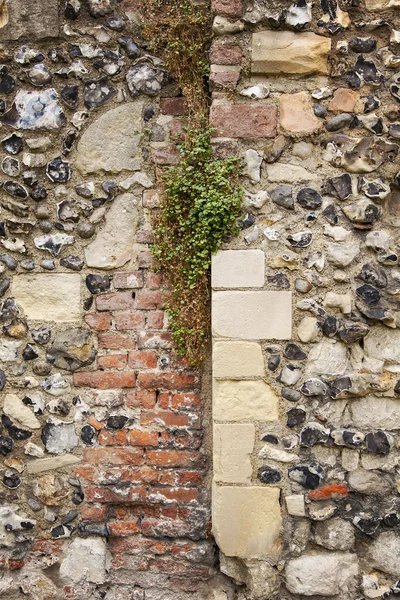 Stenen muur sectie — Stockfoto