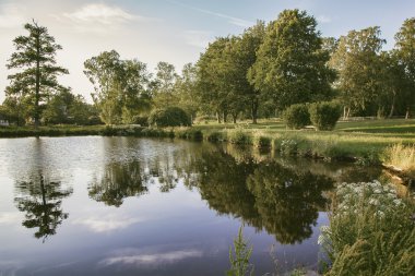 Kırsal park su birikintisi