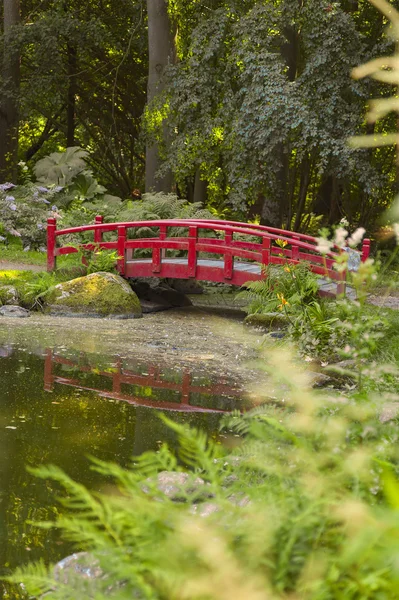 Japán stílusú híd-kertben — Stock Fotó
