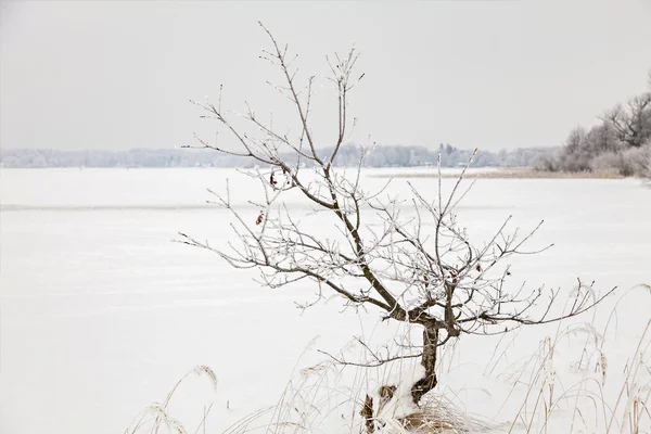 Lake Finja frozen