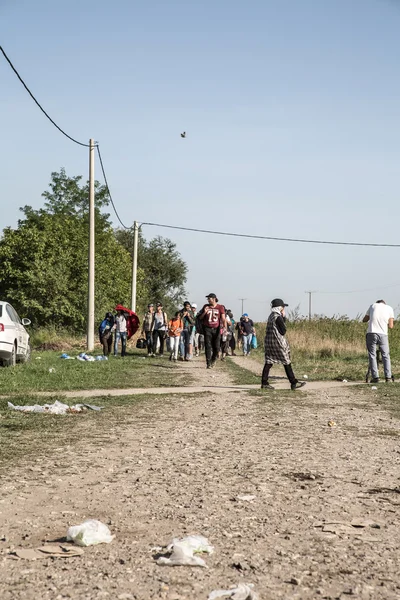 Refugiados cruzando la frontera de Serbia en Tovarnik — Foto de Stock