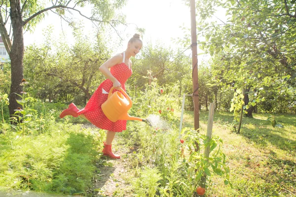 植物に水をやる女 — ストック写真