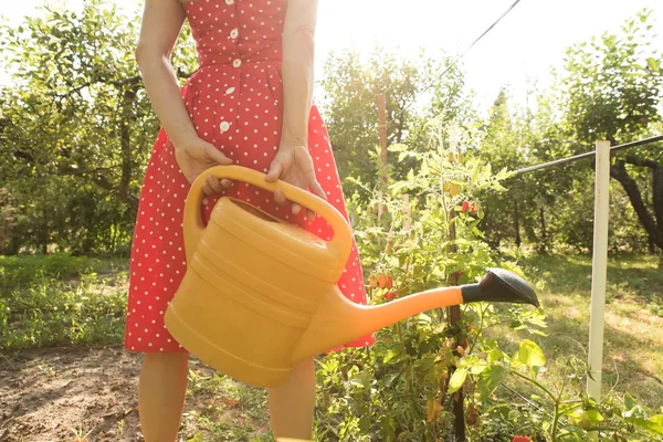 Kobieta podlewająca rośliny — Zdjęcie stockowe