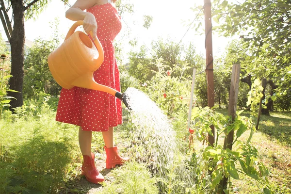 Femme arrosant les plantes — Photo