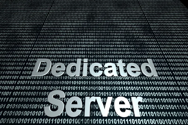 Dedicated Server binary background — Stock Photo, Image