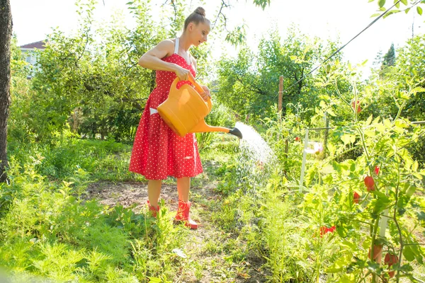 Женщина поливает растения — стоковое фото