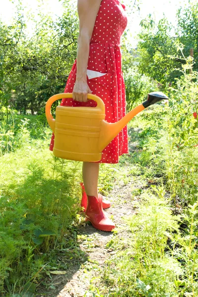 Kvinna vattna växterna — Stockfoto