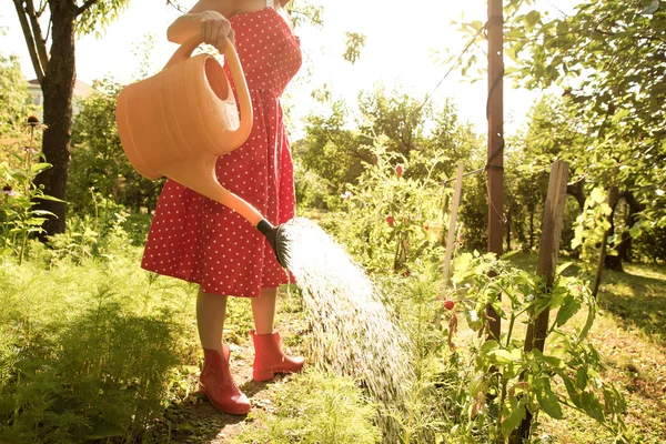 Frau gießt die Pflanzen — Stockfoto